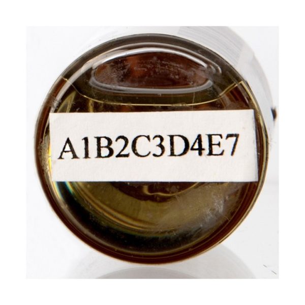 BXuubsw1lX9fcEebewXR